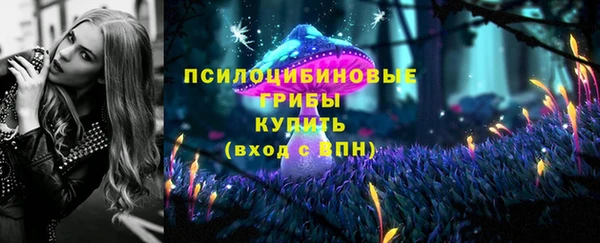 дмт Белокуриха