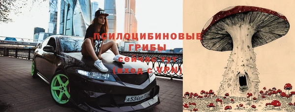 дмт Белокуриха