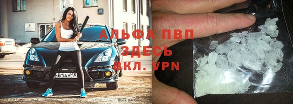 дмт Белокуриха