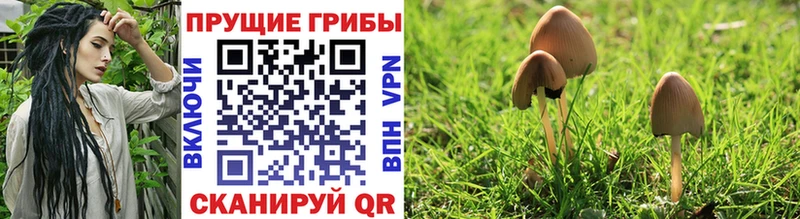 Галлюциногенные грибы Cubensis  Билибино 